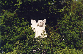 Muenchner Engel Christine Roehrig